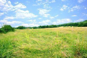 A picturesque plot of land with tall grass under a bright blue sky filled with scattered white clouds is periodically for sale with Palace Auctions London and Palace Auctions. The landscape includes rolling green hills, dense trees in the background, and rustic buildings in the distance.