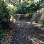A rural dirt path leads to a closed metal gate surrounded by dense green foliage and trees. Fallen leaves and patches of mud cover the ground. The sunlight filters through the branches, casting a dappled light on the entrance to where land at Bones Lane was sold by auction at Palace Auctions.