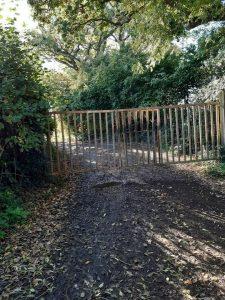 A rural dirt path leads to a closed metal gate surrounded by dense green foliage and trees. Fallen leaves and patches of mud cover the ground. The sunlight filters through the branches, casting a dappled light on the entrance to where land at Bones Lane was sold by auction at Palace Auctions.