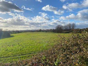 Vast grassy field under a partly cloudy sky with patches of blue. The foreground features thorny bushes and vegetation. Bare trees are visible in the background, suggesting a cool season. The sunlight casts a warm glow, creating a serene rural landscape, much like plots of land at Tanyard Farm Hadlow.