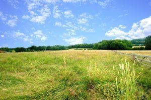 A vast meadow under a bright blue sky with scattered white clouds stretches over this picturesque plot of land Km1 underriver Sevenoaks. The field is filled with tall grass and wildflowers, bordered by a wooden fence on the right. Dense green trees and rolling hills complete the scenic landscape periodically for sale with Palace Auctions London.