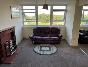 A living room with a brown leather sofa against a wall of windows showing a green, outdoor landscape in the stylish Collingwood Court. There's a small circular rug in front of the sofa. To the left, there is a fireplace and a metal log holder. The room has a beige carpet and light-painted walls.