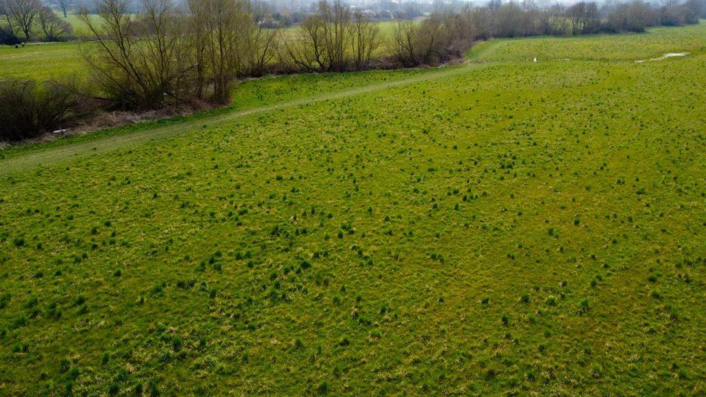 A vast grassy field under a cloudy sky, with patches of grass and clumps of bushes scattered around. In the background, bare trees line the edge of the field, and a faint outline of houses is visible in the distance—Plots of Land at Tanyard Farm Hadlow are periodically for sale with Palace Auctions London.