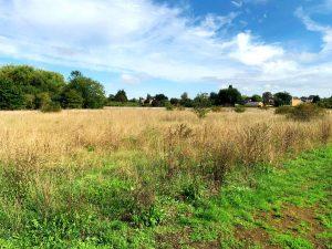 A scenic view of an open field with tall brown grasses under a partly cloudy sky at Staines. Patches of green grass in the foreground, scattered bushes and trees, and houses visible in the distance hint at future hope value for residential properties, available for sale by auction at Palace Auctions.