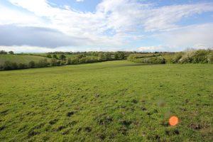 A vast, green field under a partly cloudy sky stretches toward the horizon. Adjacent to Aylesbury Road, this landscape, dotted with small patches of shrubs and trees and rolling hills in the background, offers plots of land available for sale by auction with Palace Auctions.