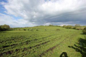 A lush, green field stretches out under a partly cloudy sky, with slightly rolling hills in the distance. The grass has visible tracks, possibly from farming equipment. Trees and bushes dot the landscape. Adjacent to Aylesbury Road, plots of land are available for sale by auction with Palace Auctions.