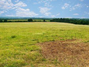 A vast, open meadow stretches into the distance under a partially cloudy sky. The grass is lush and green with a few patches of bare soil. Dense trees and rolling hills are visible on the horizon at Plot 235 Down Lane, near Guildford, GU3 1DQ—available for sale by auction with Palace Auctions.