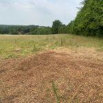 Property for sale by Auction A vast field at Plot 231, Down Lane, Guildford GU3 1DQ features a patch of bare earth and wood chips in the foreground that gradually transitions into tall grass. A tree-lined forest borders the right side, and rolling hills are visible in the distance under a slightly overcast sky. Presented by Palace Auctions