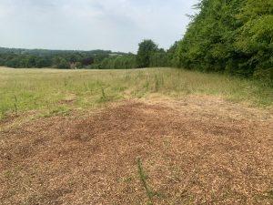 Property for sale by Auction A vast field at Plot 231, Down Lane, Guildford GU3 1DQ features a patch of bare earth and wood chips in the foreground that gradually transitions into tall grass. A tree-lined forest borders the right side, and rolling hills are visible in the distance under a slightly overcast sky. Presented by Palace Auctions