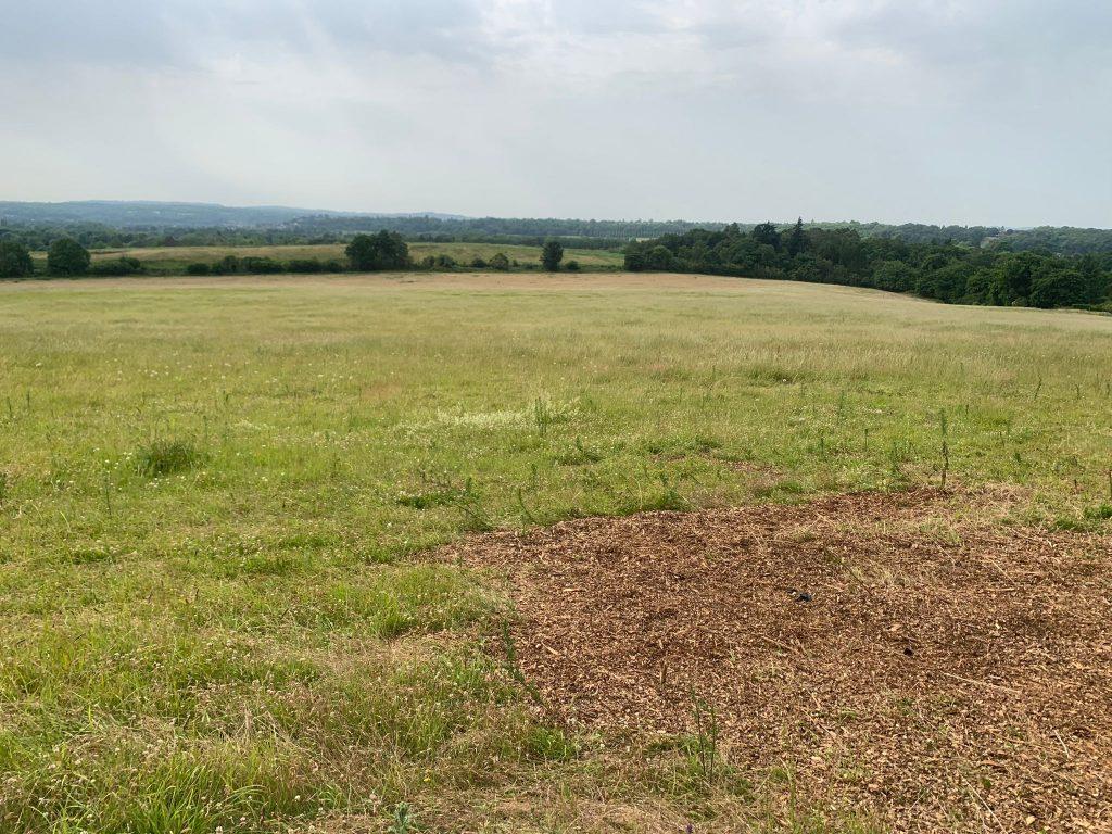 Property for sale by Auction A wide, open field with lush green grass and a distant tree line under a cloudy sky. The foreground shows a patch of bare earth, typical of Plot 231 near Compton, while the horizon features gently rolling hills and scattered trees. The landscape exudes a peaceful rural atmosphere common to Guildford GU3 1DQ. Presented by Palace Auctions