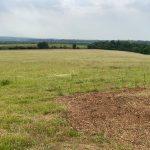 Property for sale by Auction A wide, open field with lush green grass and a distant tree line under a cloudy sky. The foreground shows a patch of bare earth, typical of Plot 231 near Compton, while the horizon features gently rolling hills and scattered trees. The landscape exudes a peaceful rural atmosphere common to Guildford GU3 1DQ. Presented by Palace Auctions