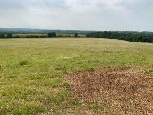 Property for sale by Auction A wide, open field with lush green grass and a distant tree line under a cloudy sky. The foreground shows a patch of bare earth, typical of Plot 231 near Compton, while the horizon features gently rolling hills and scattered trees. The landscape exudes a peaceful rural atmosphere common to Guildford GU3 1DQ. Presented by Palace Auctions