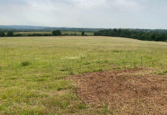 Property for sale by Auction A wide, open field with lush green grass and a distant tree line under a cloudy sky. The foreground shows a patch of bare earth, typical of Plot 231 near Compton, while the horizon features gently rolling hills and scattered trees. The landscape exudes a peaceful rural atmosphere common to Guildford GU3 1DQ. Presented by Palace Auctions