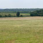 Property for sale by Auction Expansive grassy field with patches of wildflowers in the foreground, transitioning into slightly taller greenery in the middle. Dense, dark green trees form the background. Overcast sky and distant hills create a tranquil, natural landscape at Plot 231, Down Lane in Guildford GU3 1DQ. Presented by Palace Auctions
