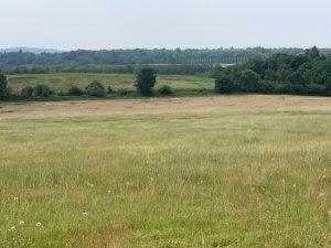 Property for sale by Auction Expansive grassy field with patches of wildflowers in the foreground, transitioning into slightly taller greenery in the middle. Dense, dark green trees form the background. Overcast sky and distant hills create a tranquil, natural landscape at Plot 231, Down Lane in Guildford GU3 1DQ. Presented by Palace Auctions