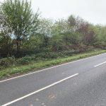 Property for sale by Auction An empty road in Ockley with trees and bushes lining the right side. The road, known as Stane Street, has two visible lanes with white dashed lines in the center and solid white lines at the edges. The sky is overcast, giving a cool and calm ambiance to the scene. Presented by Palace Auctions