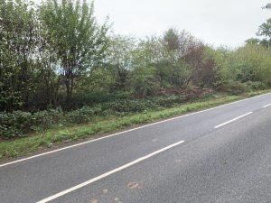 Property for sale by Auction An empty road in Ockley with trees and bushes lining the right side. The road, known as Stane Street, has two visible lanes with white dashed lines in the center and solid white lines at the edges. The sky is overcast, giving a cool and calm ambiance to the scene. Presented by Palace Auctions