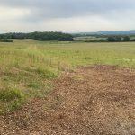 Property for sale by Auction A vast, open field with patches of green grass and brown, mulched ground in the foreground. The landscape at Plot 231, Compton is dotted with a few trees and low hills in the distance under a slightly overcast sky, located near Guildford GU3 1DQ. Presented by Palace Auctions