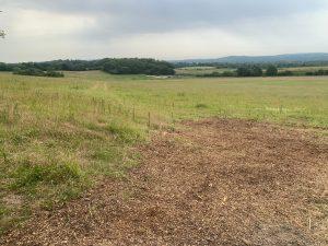 Property for sale by Auction A vast, open field with patches of green grass and brown, mulched ground in the foreground. The landscape at Plot 231, Compton is dotted with a few trees and low hills in the distance under a slightly overcast sky, located near Guildford GU3 1DQ. Presented by Palace Auctions