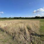 Property for sale by Auction A wide open field with a section of tall, dry grass in the foreground, bordered by lush green grass. A person partially visible on the right is holding a tool. The background features trees on the horizon under a clear blue sky with some scattered clouds at Plots of land at 435 Chevening Road, Sevenoaks. Presented by Palace Auctions