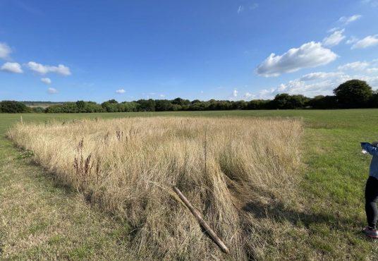Property for sale by Auction A wide open field with a section of tall, dry grass in the foreground, bordered by lush green grass. A person partially visible on the right is holding a tool. The background features trees on the horizon under a clear blue sky with some scattered clouds at Plots of land at 435 Chevening Road, Sevenoaks. Presented by Palace Auctions