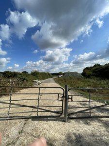 Property for sale by Auction A metal gate blocks a concrete path leading to an open field under a bright blue sky with scattered clouds. Piles of hay bales are visible in the distance, and green foliage lines both sides of the path. Two fingers partially obstruct the bottom edge of the image, captured at 435 Chevening Road, TN13 2SA, Sevenoaks. Presented by Palace Auctions