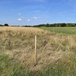 Property for sale by Auction A landscape image showing a field with dry, tall grass in the foreground and greener, shorter grass towards the background. A single wooden post stands in the center of the field on 435 Chevening Road, Sevenoaks. In the distance, there is a line of trees under a blue sky with few clouds. Presented by Palace Auctions