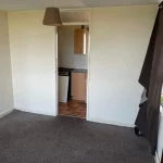 Property for sale by Auction A small, empty room at 159 Collingwood Court, Washington, with beige walls and gray carpet. There's a brown pendant light hanging from the ceiling. An open door leads to a kitchen area with wooden cabinets and a stove. A brown curtain is partially hanging off a rod covering a window on the right wall. Presented by Palace Auctions