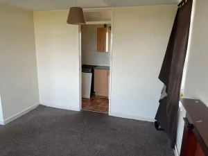 Property for sale by Auction A small, empty room at 159 Collingwood Court, Washington, with beige walls and gray carpet. There's a brown pendant light hanging from the ceiling. An open door leads to a kitchen area with wooden cabinets and a stove. A brown curtain is partially hanging off a rod covering a window on the right wall. Presented by Palace Auctions