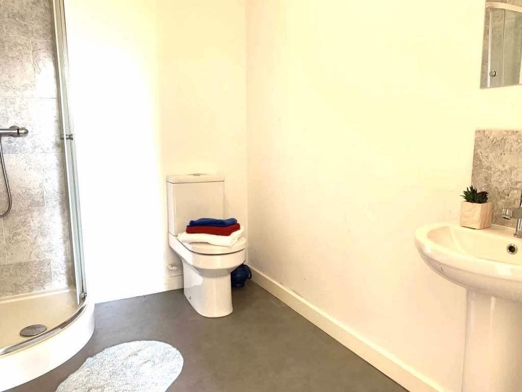 Property for sale by Auction A minimalist bathroom sold by Palace Auctions features a walk-in shower on the left, a toilet with folded towels (red, white, and blue) on top in the center, and a small sink with a potted plant and a mirror above it on the right. The floor is gray with a small white rug. Presented by Palace Auctions