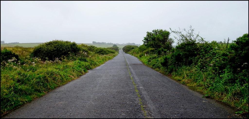 Property for sale by Auction A narrow country road stretches into the distance on a foggy day, flanked by lush green vegetation and bushes on both sides. The overcast sky casts a muted light over the landscape, creating a serene and peaceful atmosphere in the area where land at Bolventor was recently sold. Presented by Palace Auctions