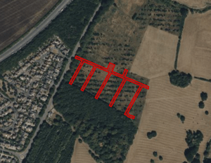 Property for sale by Auction Aerial view of a landscape showing a mix of fields, forested areas, and a residential neighborhood. Red lines overlaid on the image indicate a planned route or path through the forested section, branching out in parallel lines from a central point. Presented by Palace Auctions