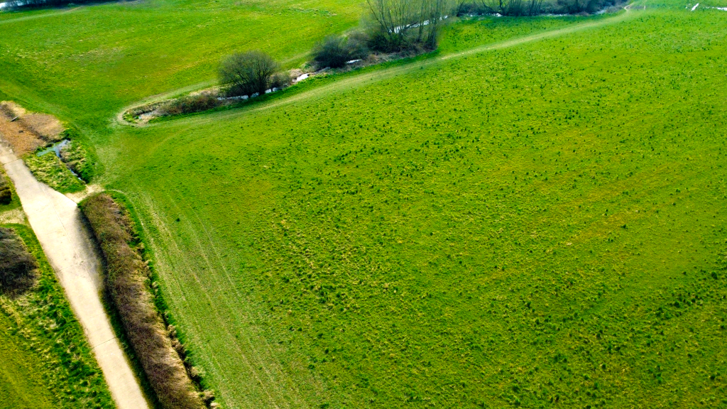Property for sale Aerial view of a large, grassy field intersected by dirt paths, with scattered trees and a small stream near the upper edge—property for sale, presented by Palace Auctions. Presented by Palace Auctions