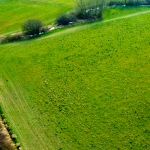 Property for sale Aerial view of a large, grassy field intersected by dirt paths, with scattered trees and a small stream near the upper edge—property for sale, presented by Palace Auctions. Presented by Palace Auctions
