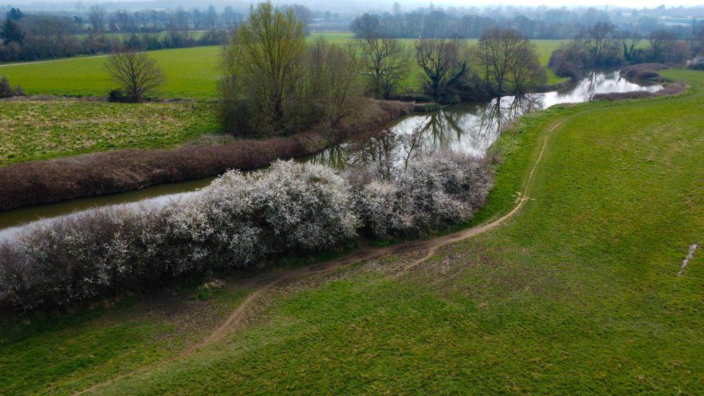 Aerial view of a serene 4-acre landscape sold by Palace Auctions, featuring a winding river flanked by flowering bushes and lush green fields. Leafless trees dot the area, and a narrow dirt path runs along one side of the river, offering a peaceful and picturesque scene.