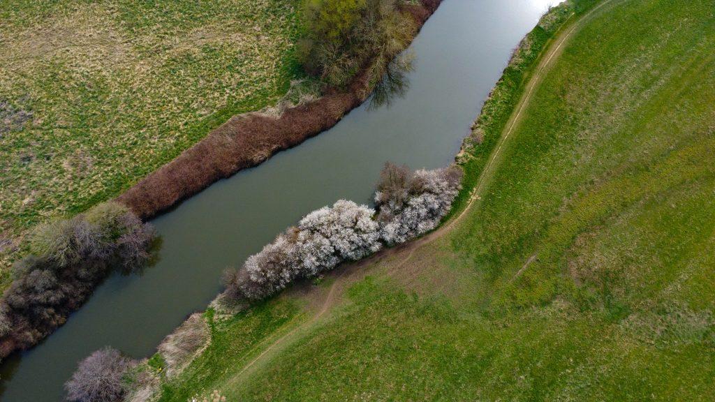 Aerial view of a winding river bordered by lush green fields and a row of flowering trees with white blossoms on 4 acres of land. The landscape, sold by Palace Auctions, is dotted with various shades of green and brown vegetation, creating a serene and picturesque scene.