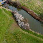 Aerial view of a serene 4-acre landscape featuring a narrow river bordered by grassy fields and patches of trees. The river curves gently, with a pedestrian bridge crossing over it. A row of blossoming trees runs parallel to the river, adding a touch of white to the greenery. Sold by Palace Auctions.