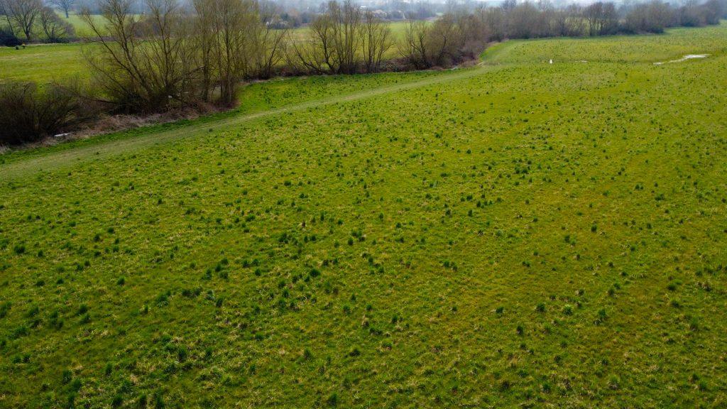 An aerial view of a vast green field, spanning 4 acres of land with sparse patches of grass and scattered shrubs, including access ways. The field is bordered by leafless trees, and a faint path runs across it. In the distance, a light mist obscures the horizon, with hints of a rural landscape beyond. Sold by Palace Auctions.