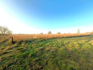 A wide, grassy field with patches of green and brown grass under a clear blue sky; this parcel of land available for sale at Tilbrook near Huntingdon features the sun casting long shadows and trees scattered sparsely in the distance. The horizon line is distinct, separating the ground from the vast expanse of the sky.