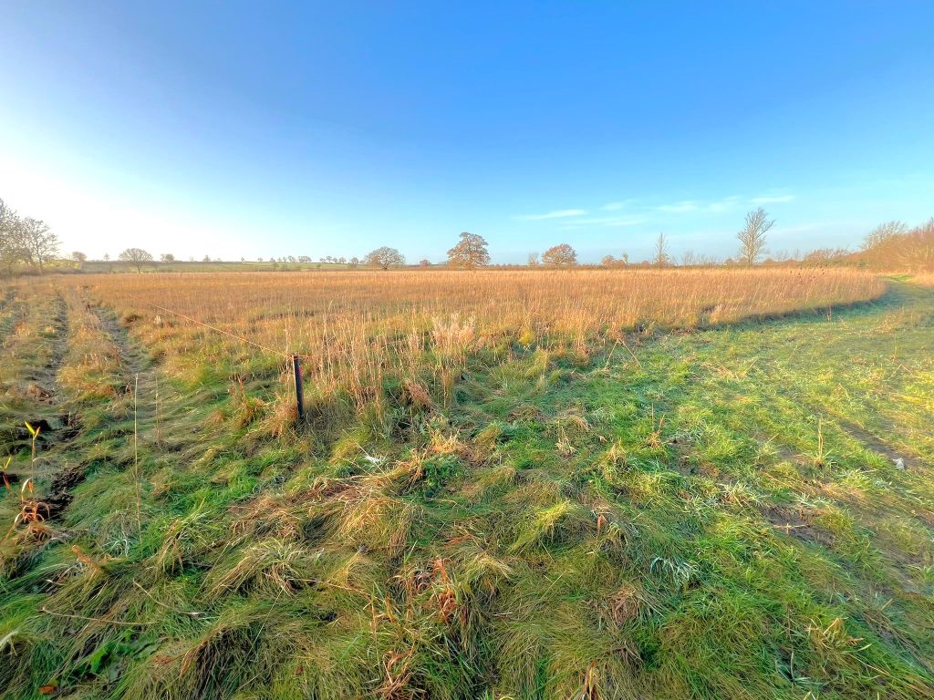 A parcel of land available for sale at Tilbrook near Huntingdon features a vast open field with tall golden grasses alongside a path of short green grass under a clear blue sky. Trees are scattered in the distance, marking the horizon. Abundant sunlight creates a serene and peaceful atmosphere.