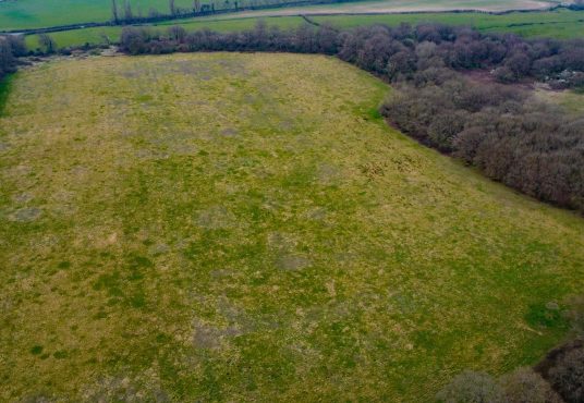 Aerial view of a large grassy field surrounded by wooded areas and farmland, reflecting parcels of premodernity agricultural land. The grass shows varying stages of growth with patches of green and brown. Dense trees border the field, where faint trails are visible. Available for sale by auction with Palace Auctions.