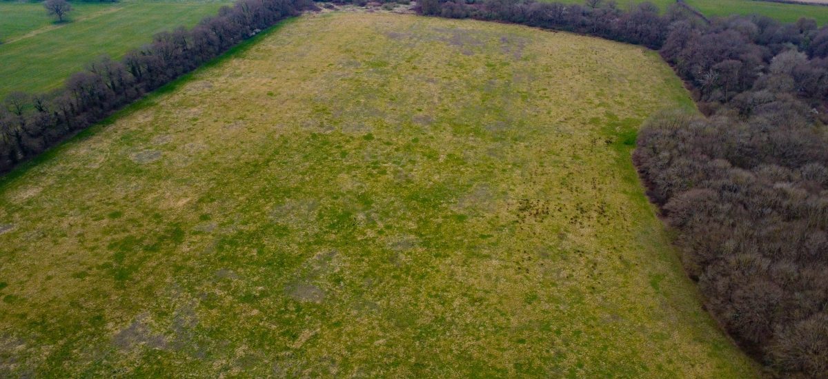 Aerial view of large, open parcels of premodernity agricultural land with patches of green and brown grass, bordered by dense trees on three sides. In the background, fields stretch At long Reach Ockham alongside a winding road. Available for sale by Auction with Palace Auctions on an overcast day.