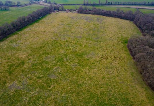 Aerial view of large, open parcels of premodernity agricultural land with patches of green and brown grass, bordered by dense trees on three sides. In the background, fields stretch At long Reach Ockham alongside a winding road. Available for sale by Auction with Palace Auctions on an overcast day.
