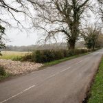 A narrow country road flanked by leafless trees and overgrown bushes stretches into the distance. The sky is overcast, and the surrounding fields are autumnal, with a mix of green grass and fallen leaves. In this quiet, secluded scene at Long Reach Ockham, parcels of premodernity agricultural land are available for sale by auction.