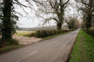 A narrow country road flanked by leafless trees and overgrown bushes stretches into the distance. The sky is overcast, and the surrounding fields are autumnal, with a mix of green grass and fallen leaves. In this quiet, secluded scene at Long Reach Ockham, parcels of premodernity agricultural land are available for sale by auction.