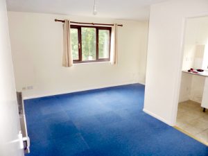 A bright, empty room features a window with beige curtains, white walls, and a clean blue carpet. The space is well-lit by natural light from the window, offering views of Ruth House. An adjacent kitchen is visible through an open doorway, with light-colored tile flooring. Available for sale by auction with Palace Auctions.