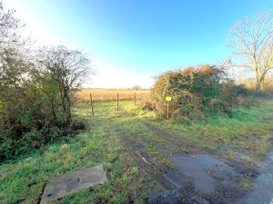 A rural scene with a dirt path leading to a grassy field under a bright blue sky. Bushes and trees border the path, and a weathered fence stretches into the distance across the field. A yellow sign, indicating a parcel of land available for sale at Tilbrook near Huntingdon, is posted next to the bushes.