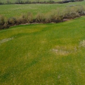 A photo showing a wide expanse of green fields with patches of dry grass. The landscape includes rolling hills and a line of bushes and trees in the background under a cloudy sky, capturing plots of land off at Tanyard Farm, Hadlow Road, Tonbridge, Kent.