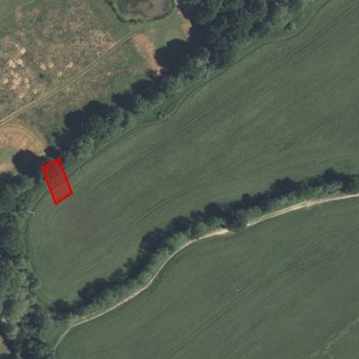 An aerial view of a rural landscape in Kent shows vast green fields bordered by trees and pathways. A small, rectangular area outlined in red is visible among the trees on the left side of the image near Hadlow Road, Tonbridge.