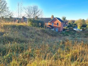 A rural scene with a red-brick house in the background surrounded by overgrown grass and foliage. The sky is clear and blue, indicating a sunny day. To the right, a road with a parked car is visible, and several trees are scattered around the area. Development site land to the rear of 227-257 Lea Road Gainsborough available for sale by auction with Palace Auctions.
